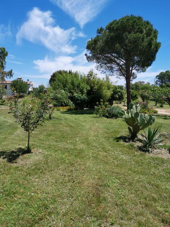 Home Garden Siniscola Exterior photo
